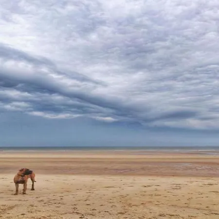 In With Stunning Sea Views Lägenhet